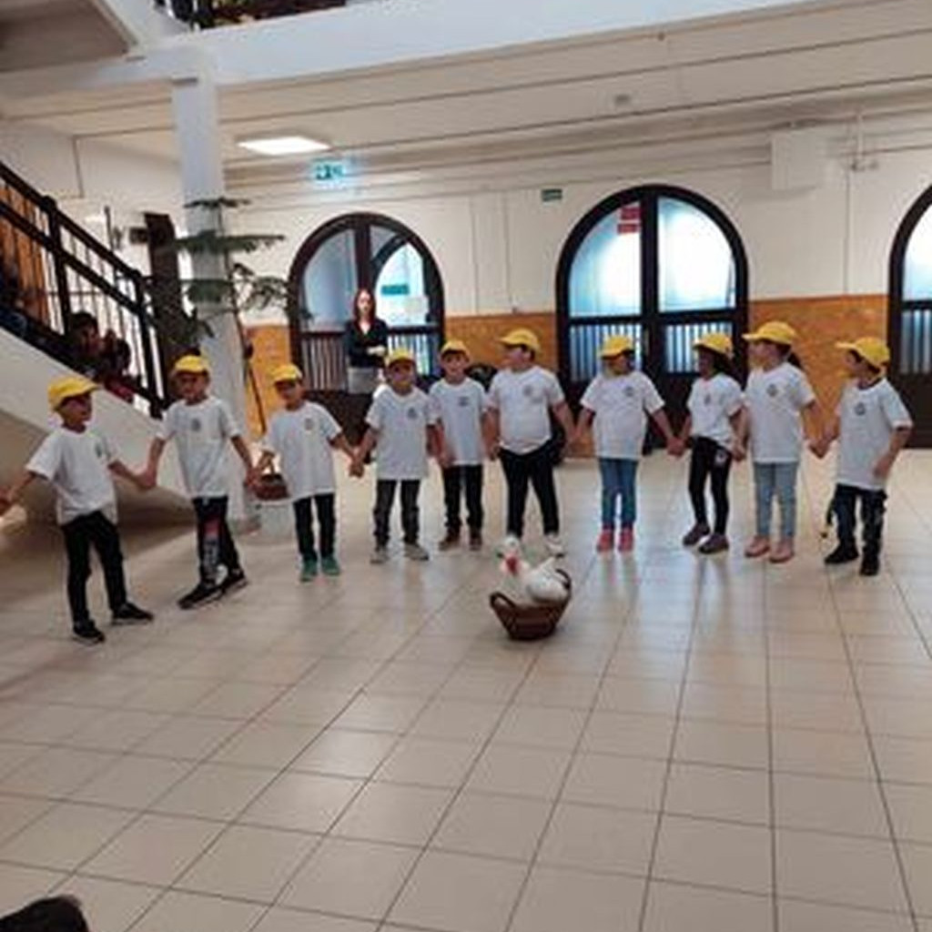 2023.11.11 Márton napi műsor Tuzséron